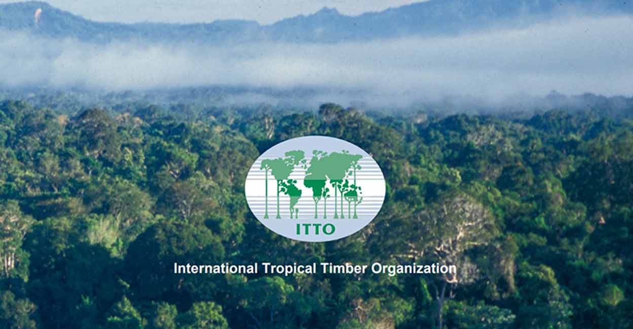 itto-2onm